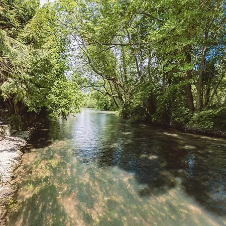Gîtes Sérénaé avec vue sur rivière Val de Vesle Esterno foto